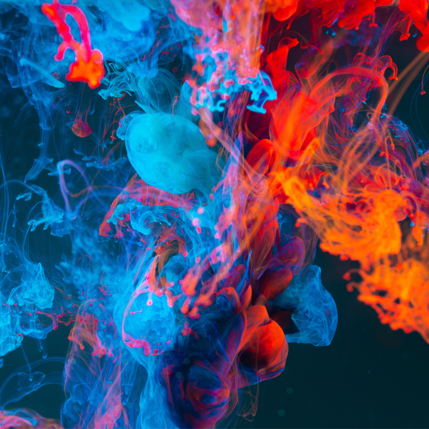 Hands-On Science Experiments for Kids