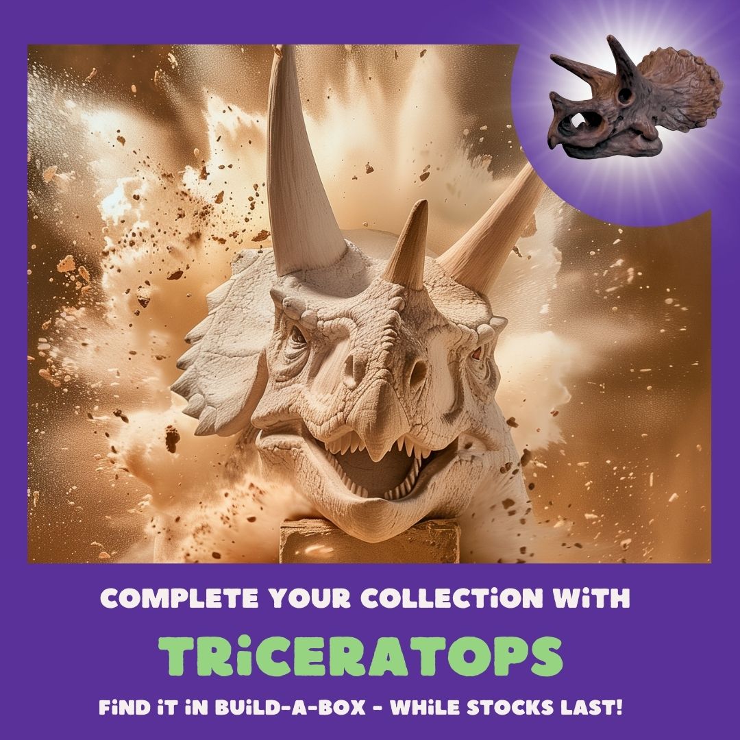 Dig-a-saur Refill (4 pack)
