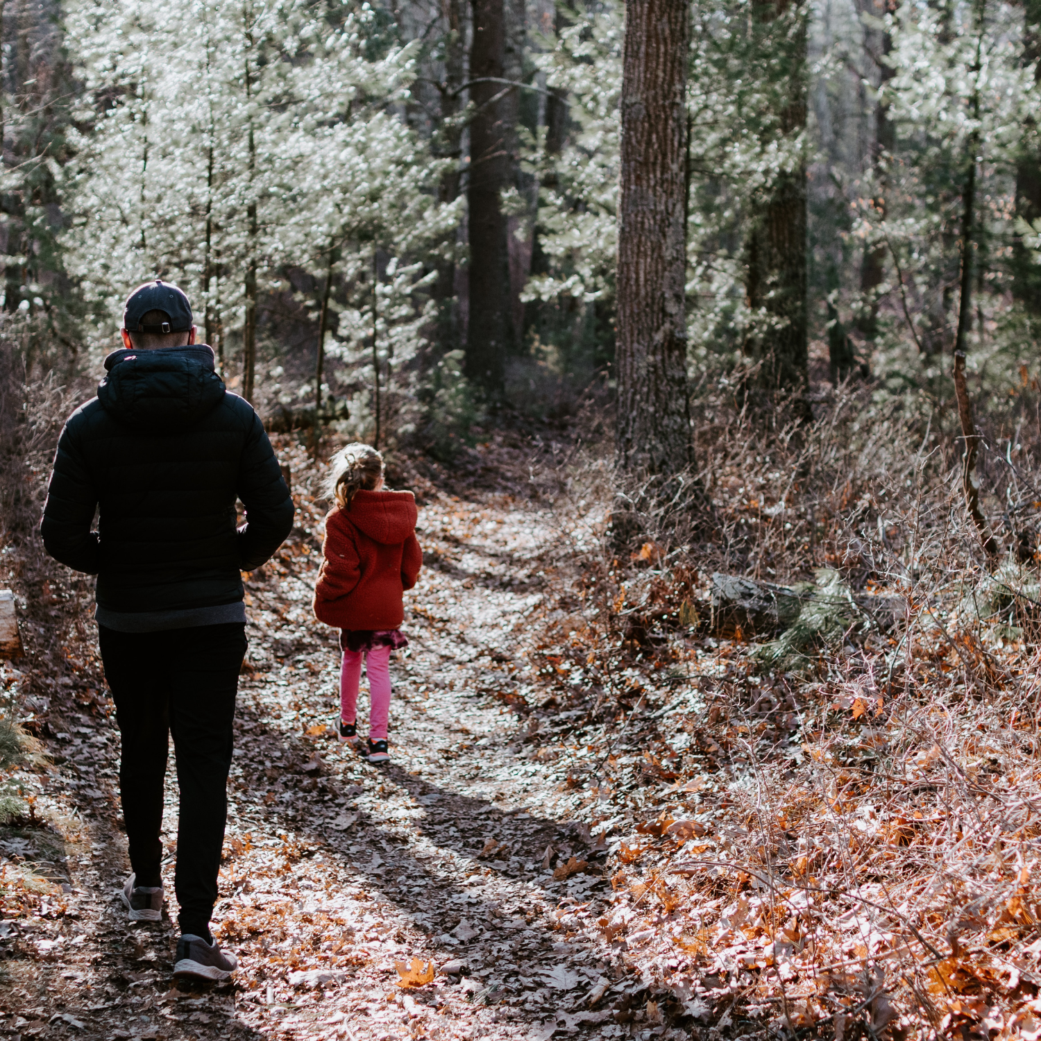 5 Science Nature Walks in New Zealand