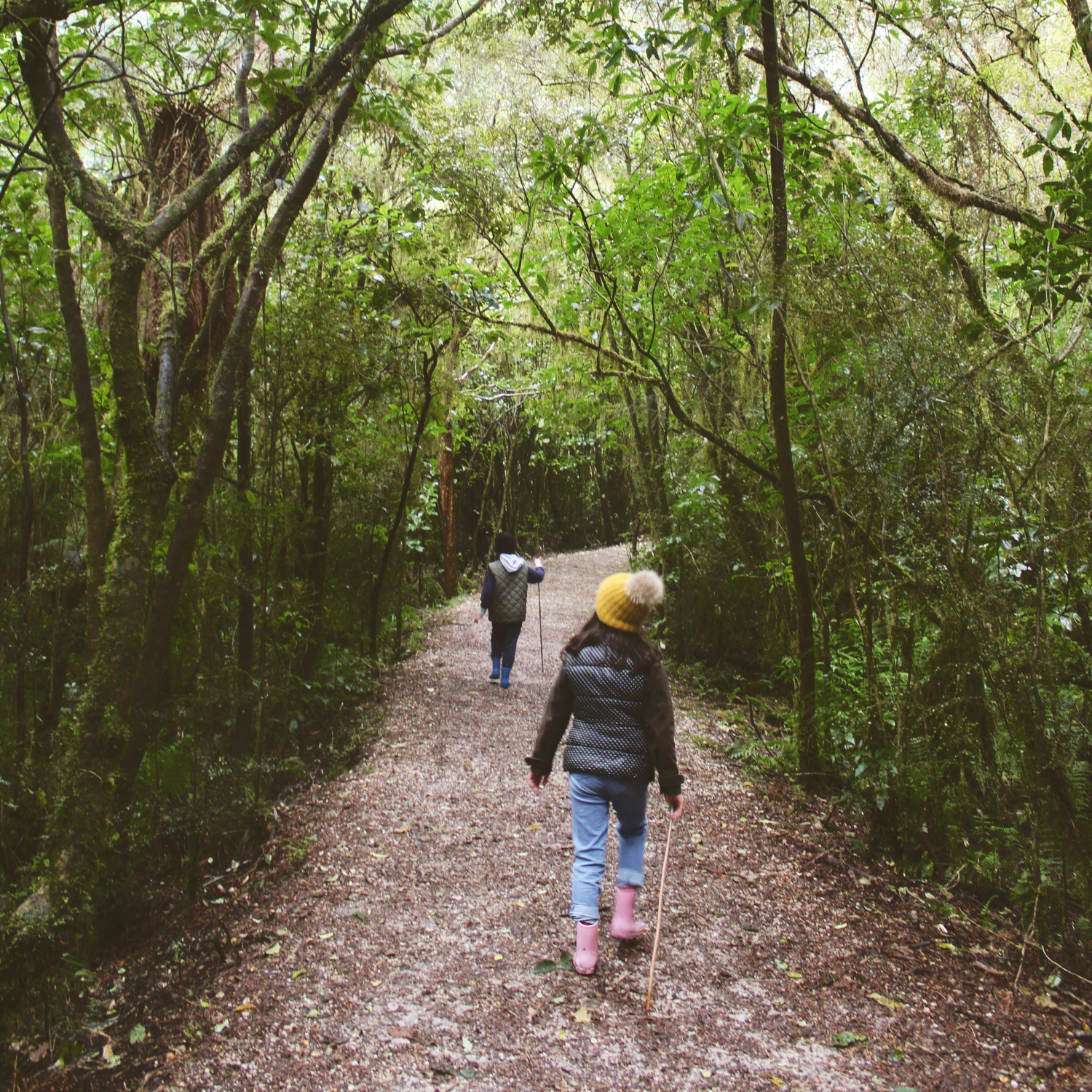 Outdoor Play for Science Learning: Nurturing Curiosity