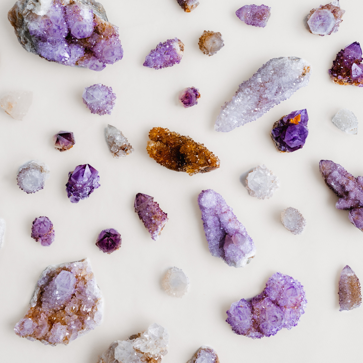 DIY Nature Crafts and Projects