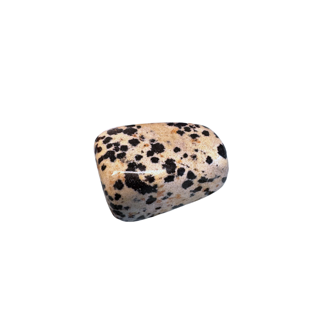 Dalmatian Jasper Tumble