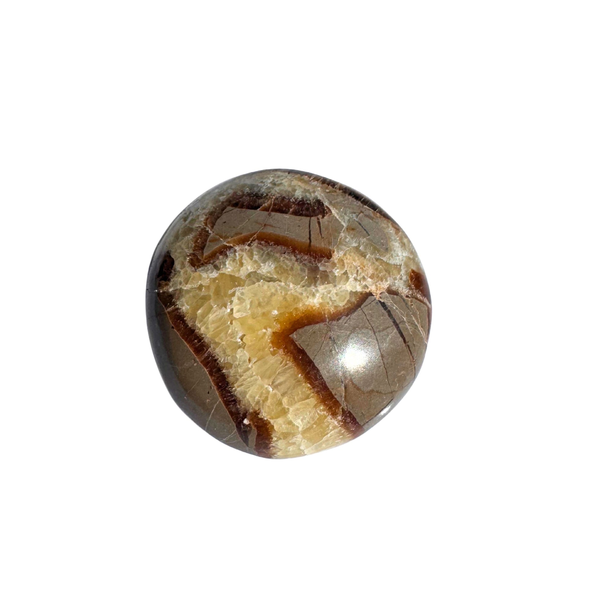 Septerian palm stone